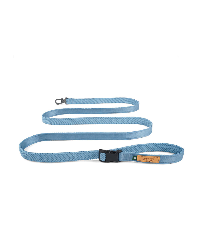 "Roy" Corduroy Adjustable Dog Leash WALK CHARLIE'S BACKYARD Baby Blue