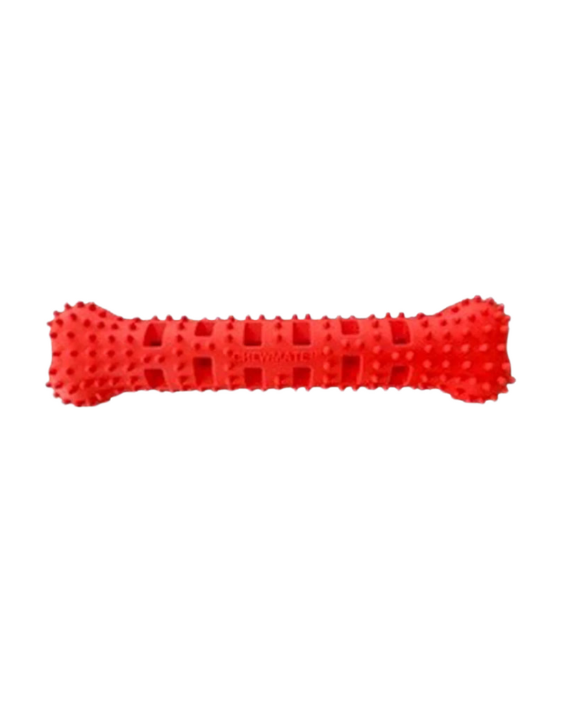 Natural Rubber Bone Treatbrush for Dogs PLAY CHEWMATE