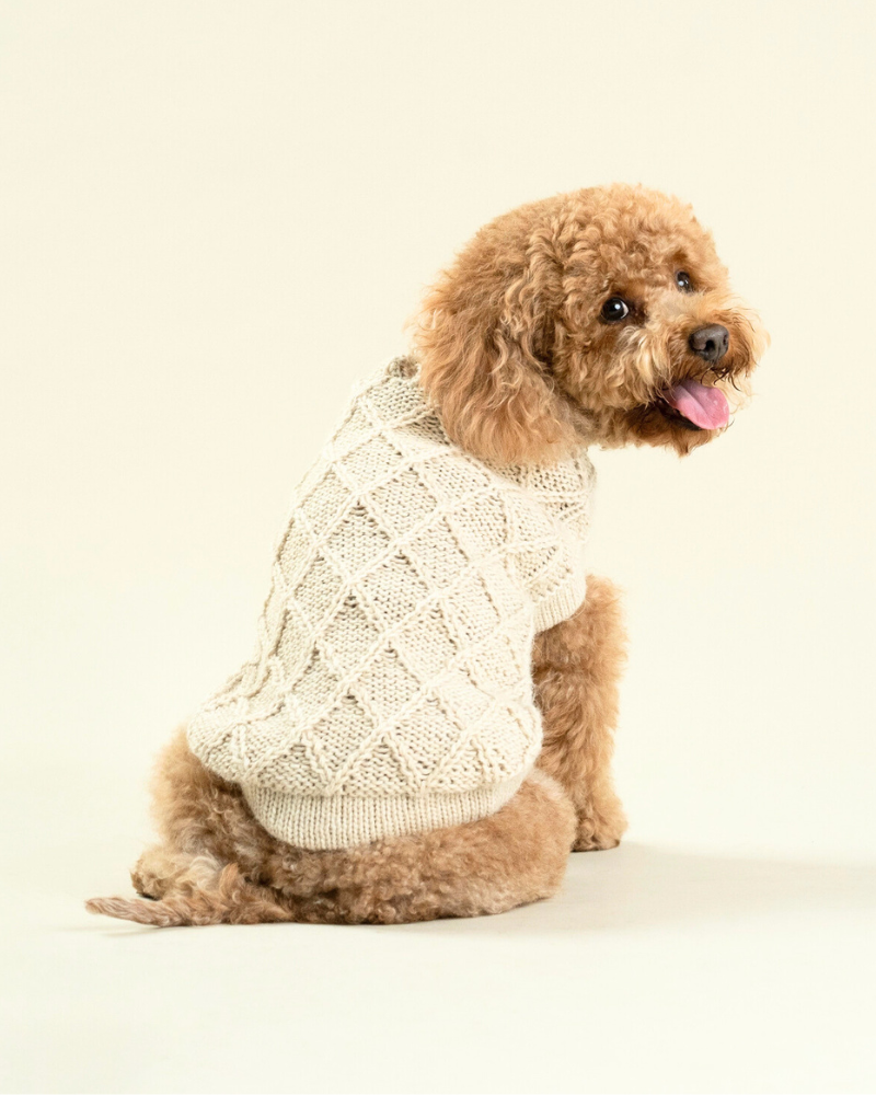 Diamond Knit Alpaca Dog Sweater (FINAL SALE) Wear ALQO WASI