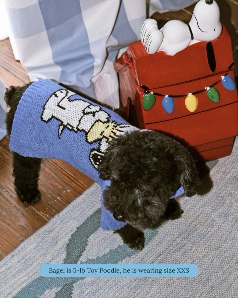 Peanuts Snoopy Dog Sweater in Blue Wear LITTLE BEAST