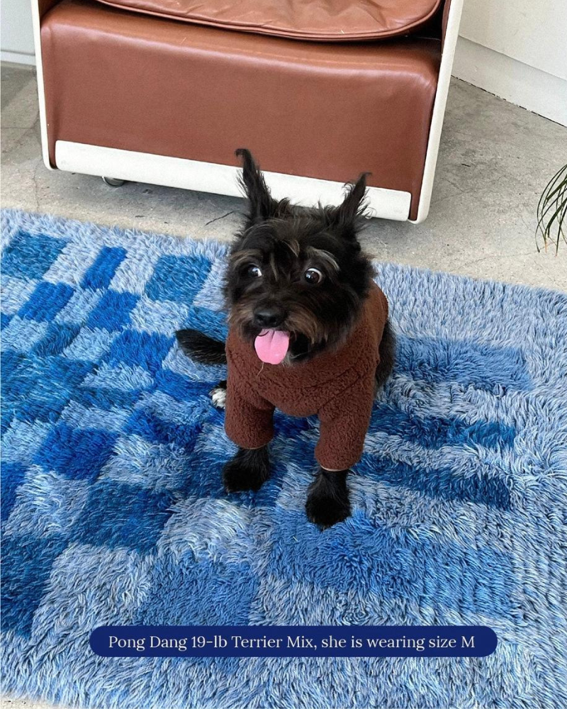 The Magic Brownie Fleece Dog Sweatshirt Wear LITTLE BEAST   