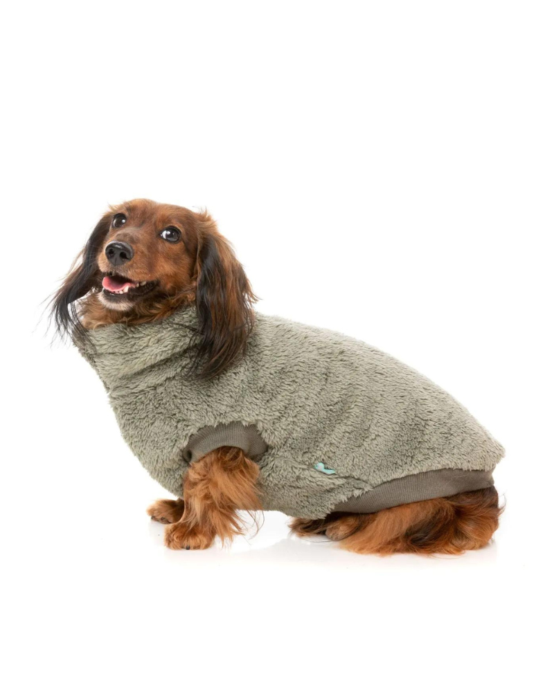 Turtle Teddy Dog Fleece in Rosemary (FINAL SALE) Wear FUZZYARD