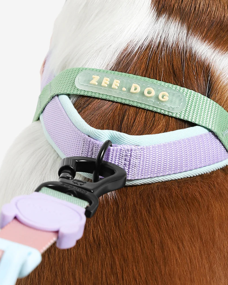 SofterWalk No-Pull Dog Harness in Peach WALK ZEE.DOG