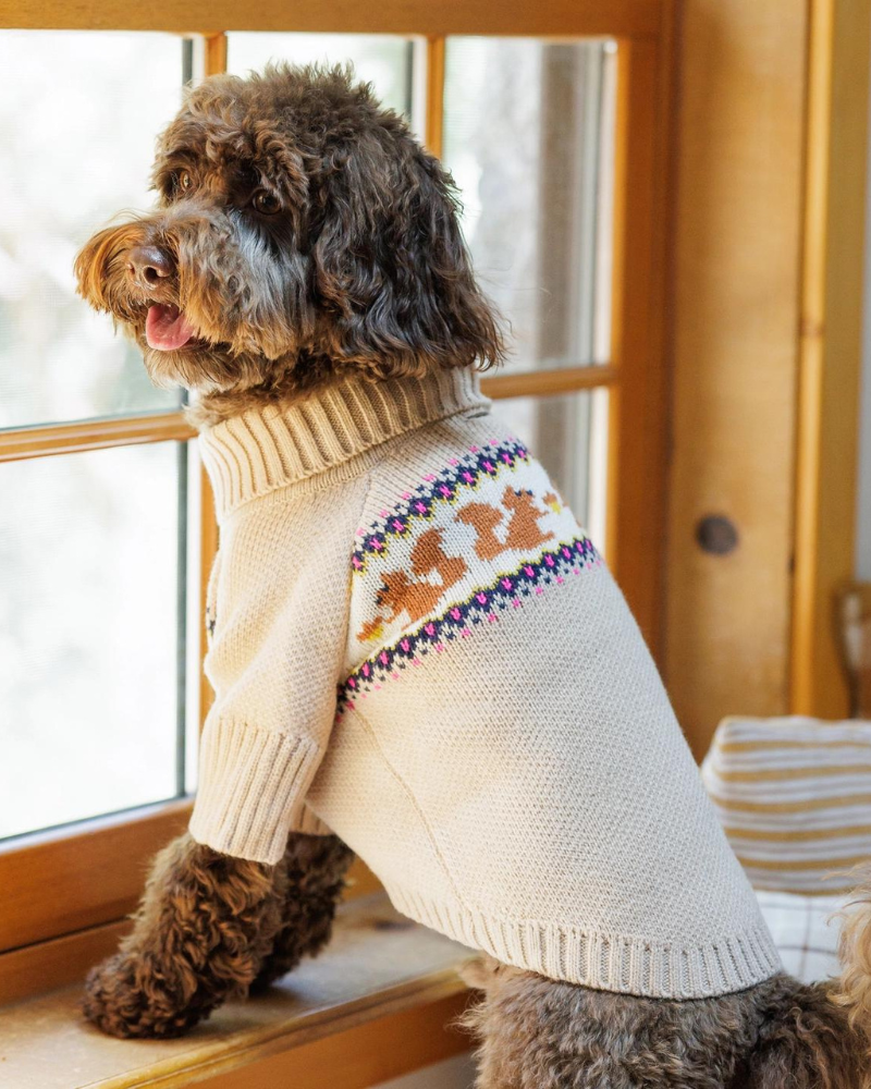 Squirrel Cable Knit Dog Sweater Wear THE FOGGY DOG   