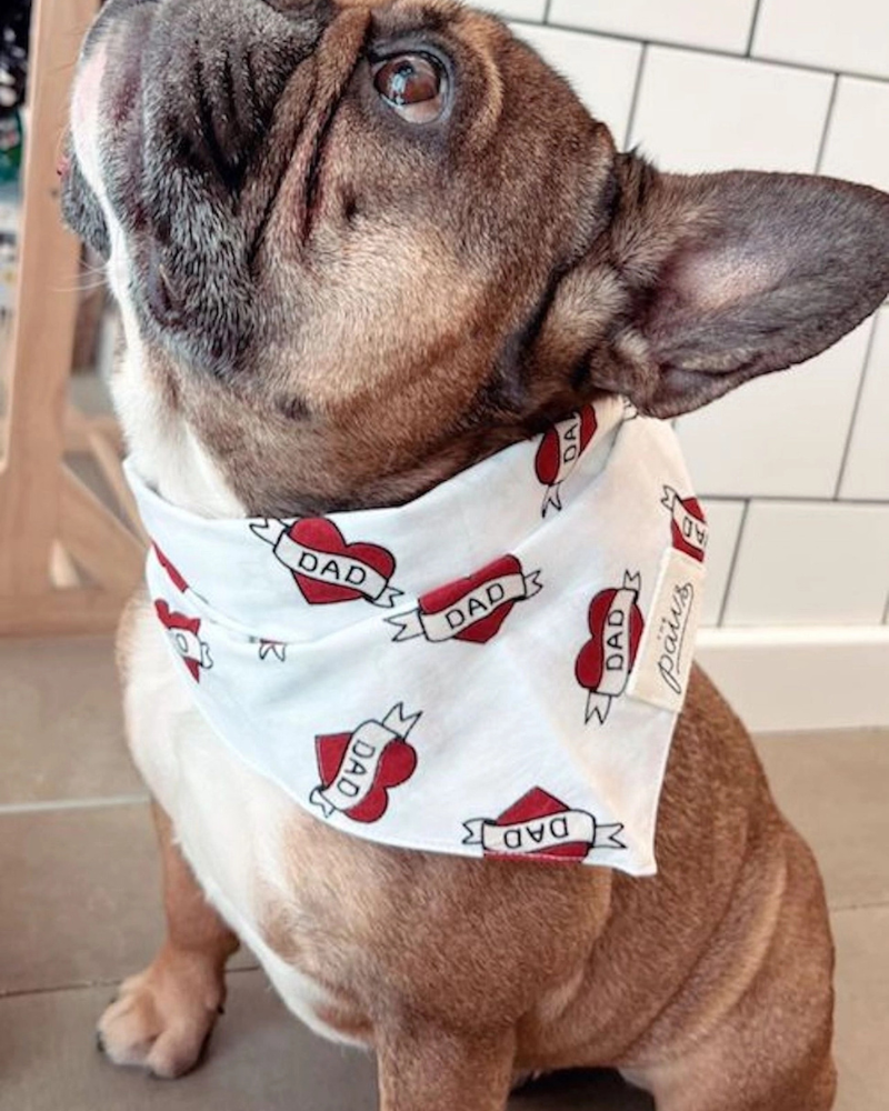 Love DAD Dog Bandana Wear THE PAWS