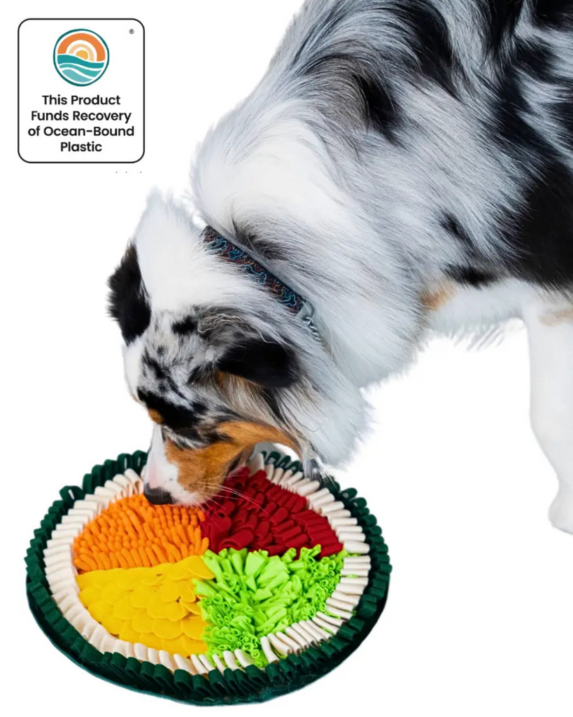 Hot Sushi Roll Interactive Snuffle Dog Toy PLAY PawzNDogz