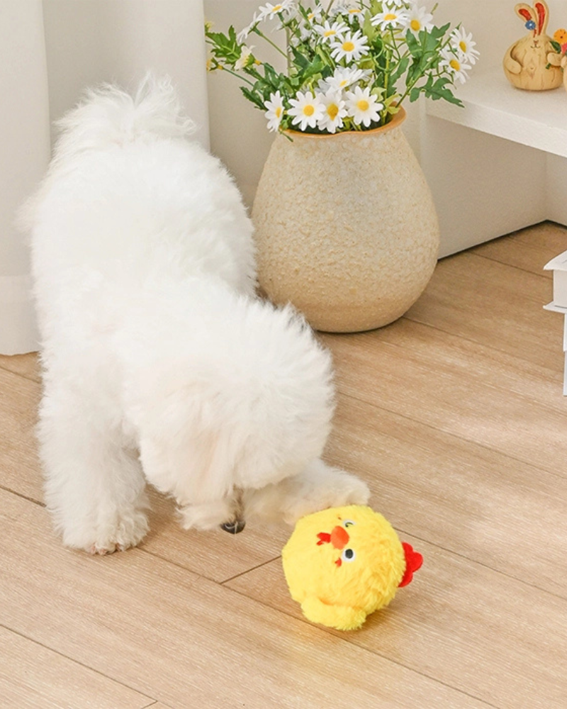 Chick 2-in-1 Squeaker Ball Dog Toy Play HUGSMART