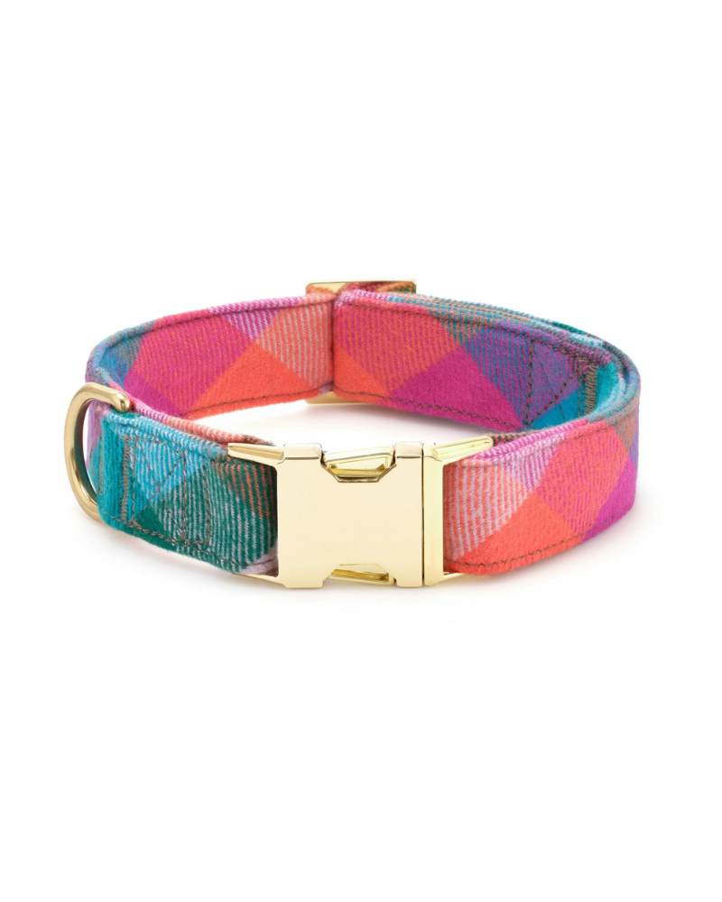 Color Pop Flannel Dog Collar (Made in the USA) WALK THE FOGGY DOG   