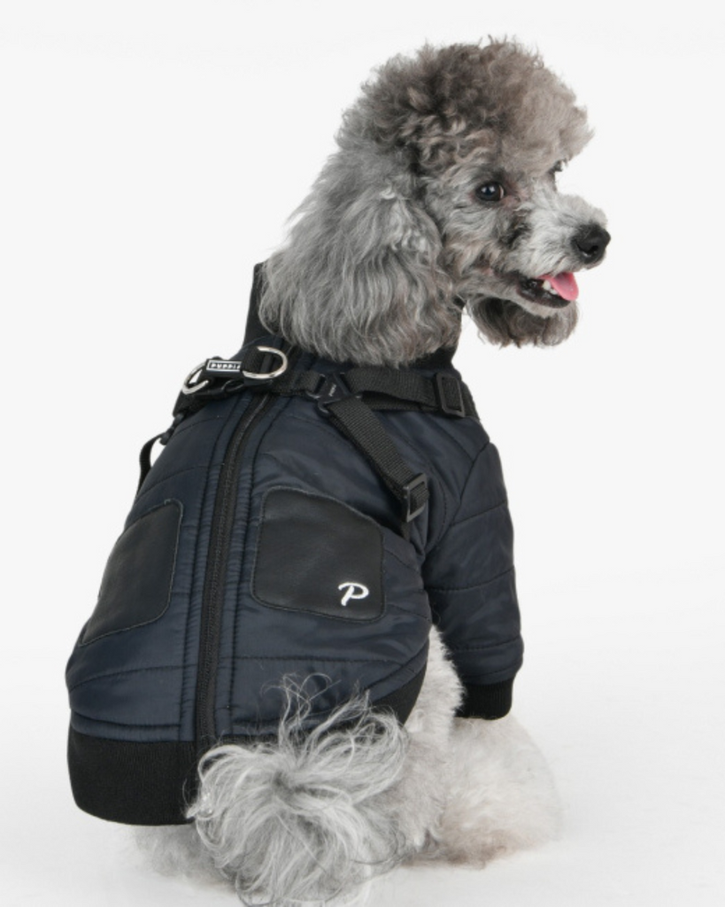 Stratus Dog Harness Coat in Black Wear PUPPIA   