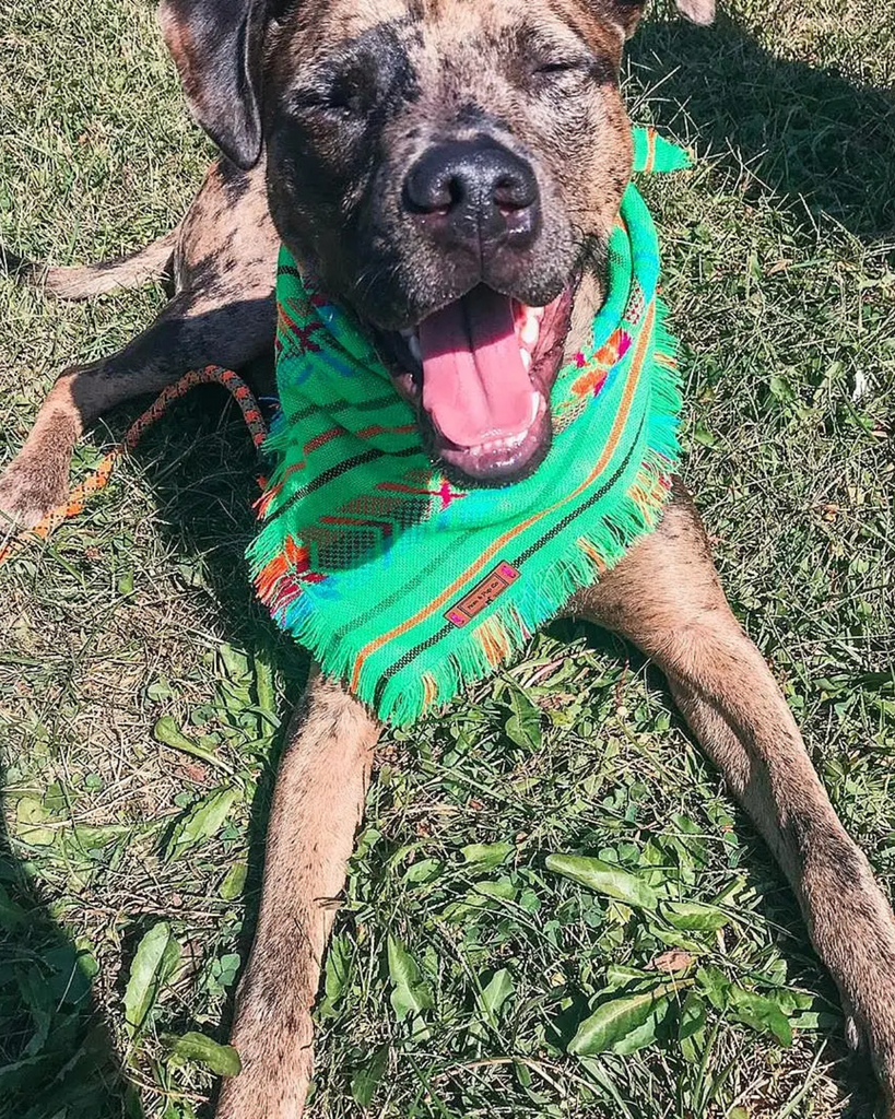 Aztec Boho Dog Bandana Wear MOM AND PUP CO.