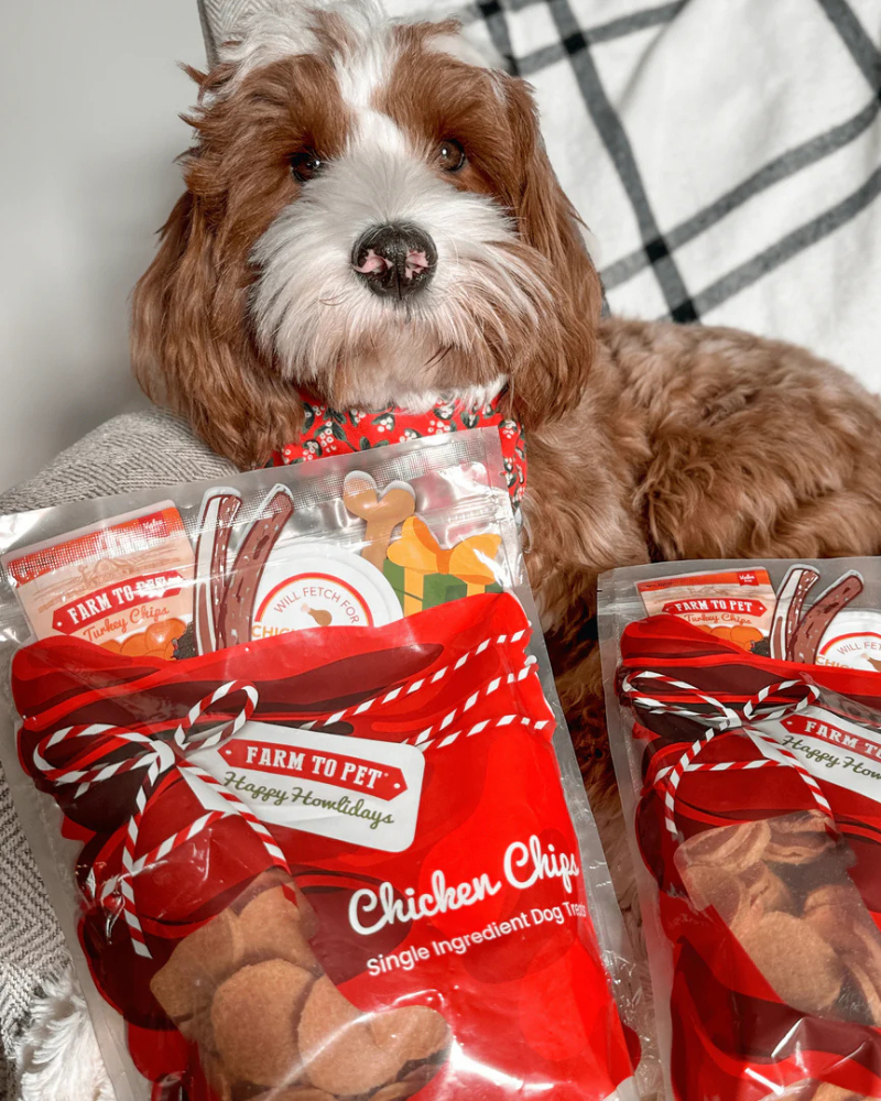 Holiday Chicken Chips (Big Bag) Eat FARM TO PET