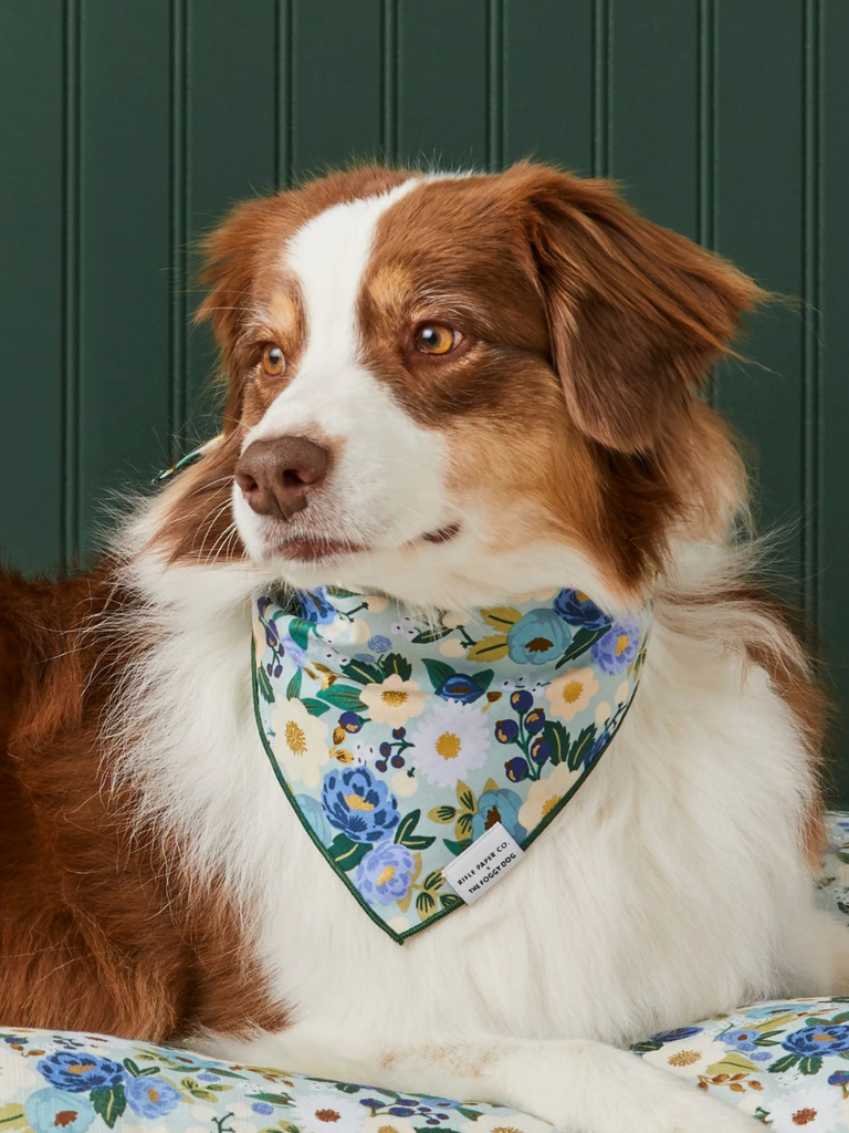 Rifle Paper Co. X TFD Vintage Blossom Dog Bandana (Made in the USA) Wear THE FOGGY DOG