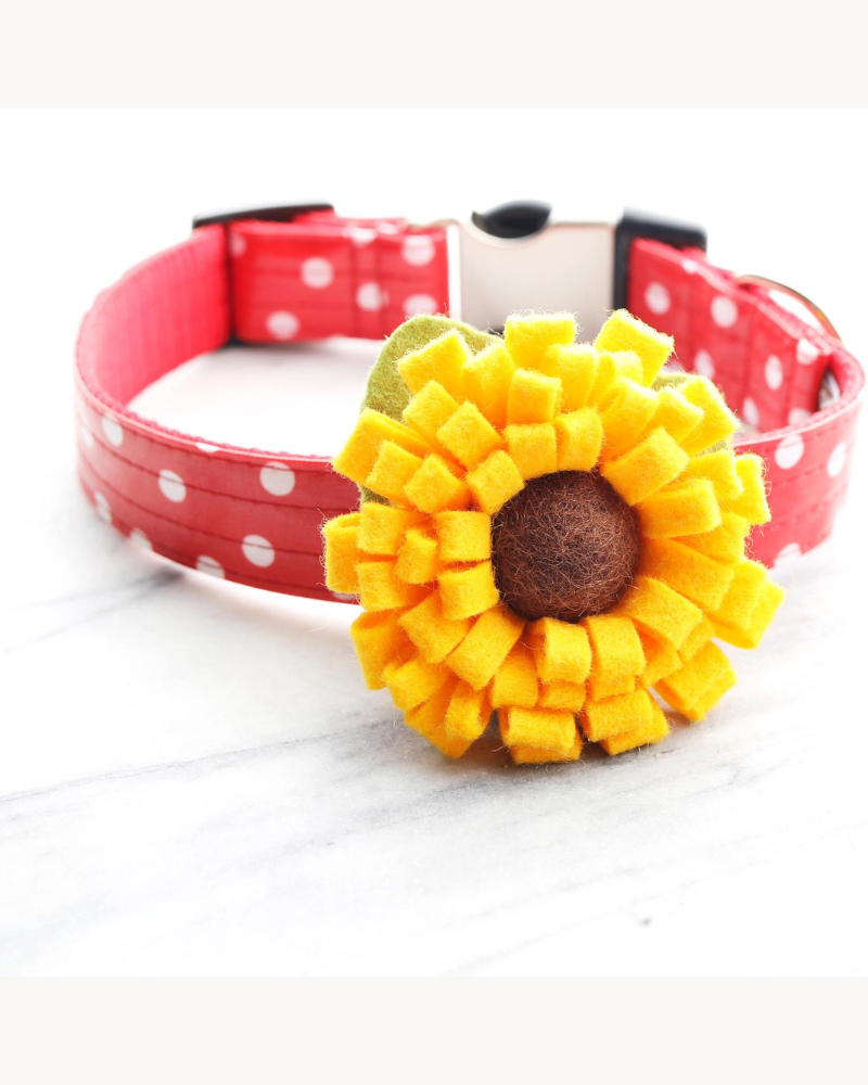 Dog Collar Sunflower (Made in the USA) Wear MIMI GREEN   