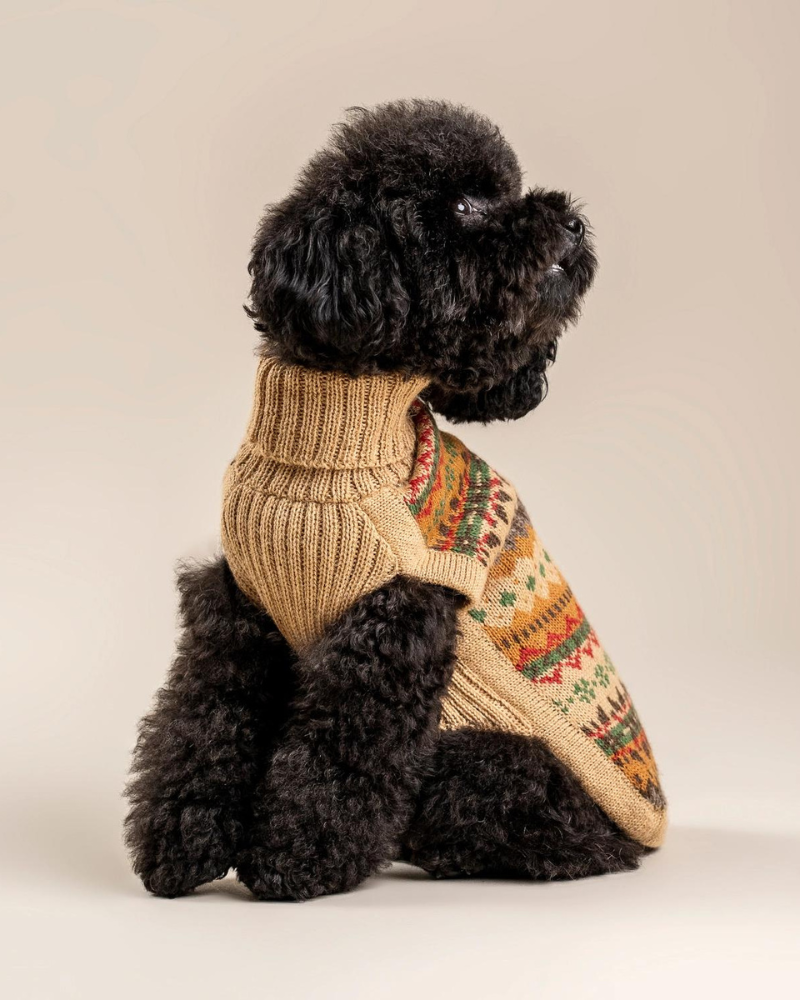 Fair Isle Finn Alpaca Dog Sweater Wear ALQO WASI   