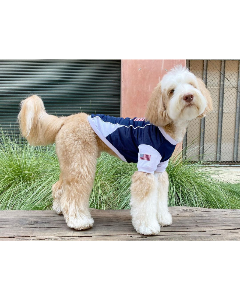 Team USA Dog Jersey (FINAL SALE) Wear PARISIAN PETS   