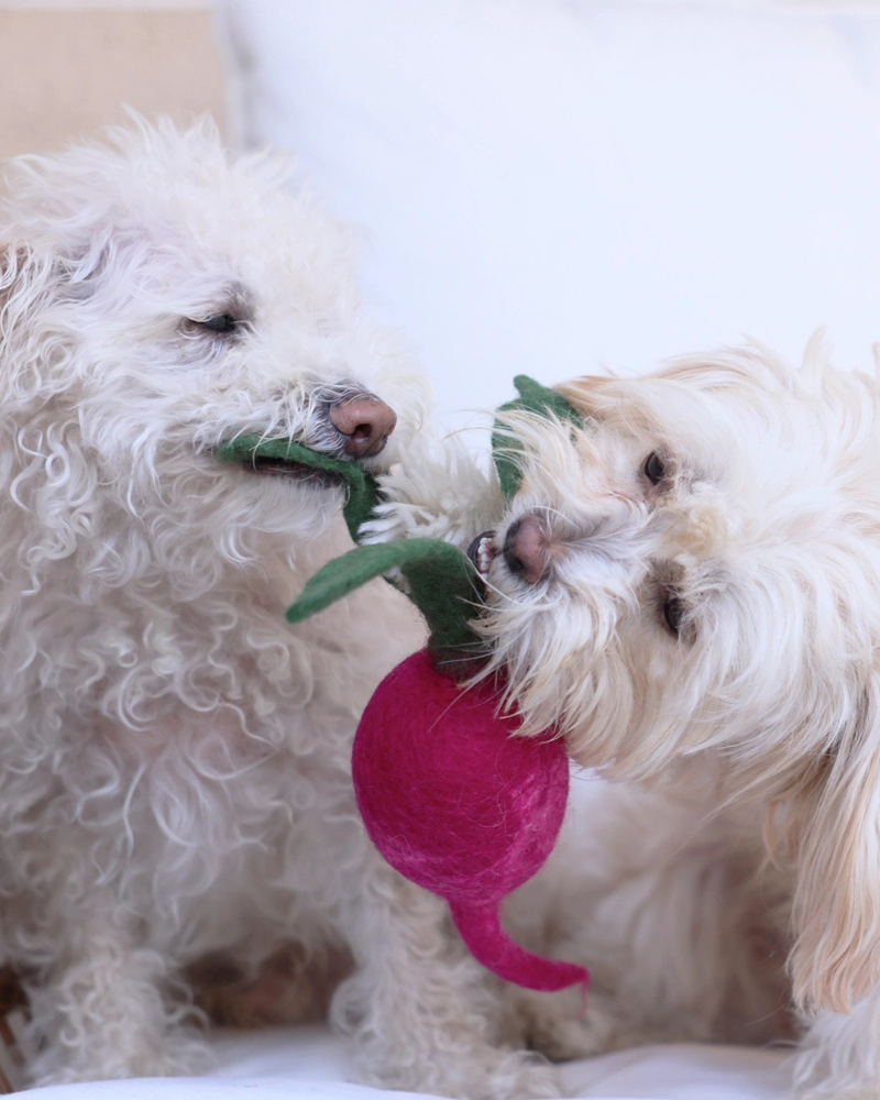 Wool Turnip Dog Toy Play MODERN BEAST