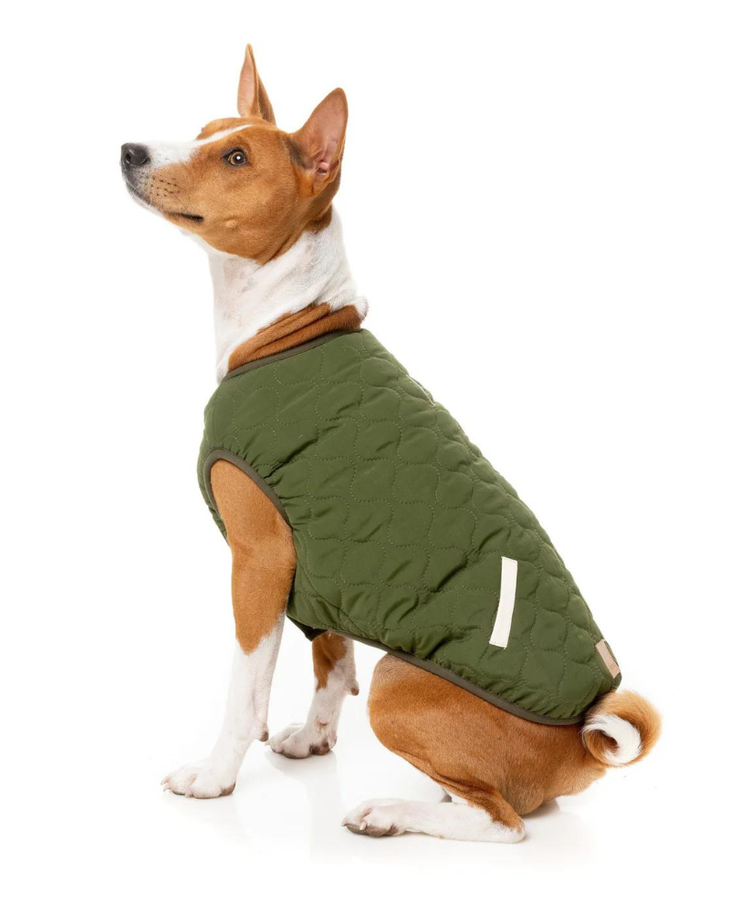 Reversible Nara Jacket for Dogs Wear FUZZYARD   