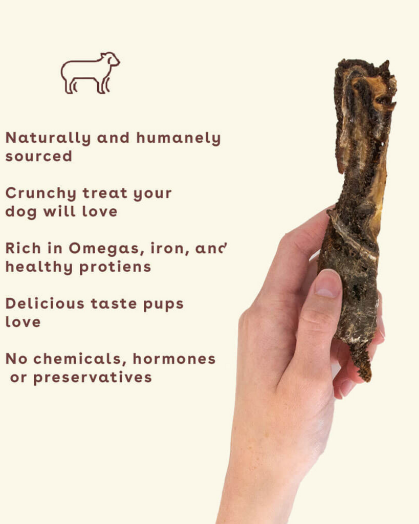 Lamb Jerky Dog Treats Eat PUPFORD   