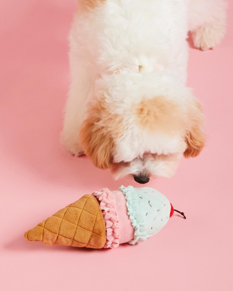 Ice Cream Snuffle Dog Toy Play THE FOGGY DOG   