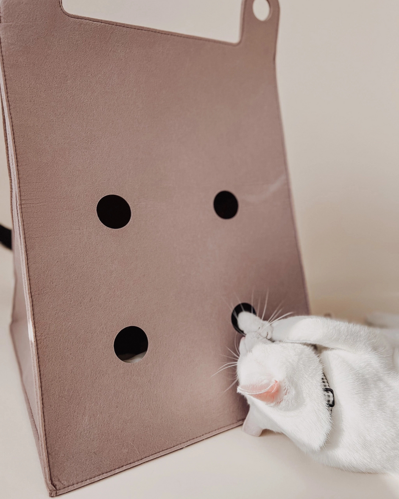 Felt Cat Cave HOME Bloire