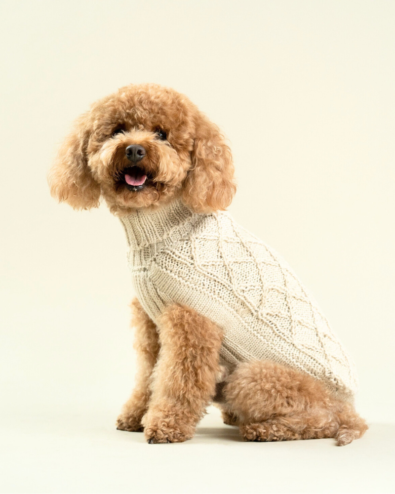 Diamond Knit Alpaca Dog Sweater (FINAL SALE) Wear ALQO WASI