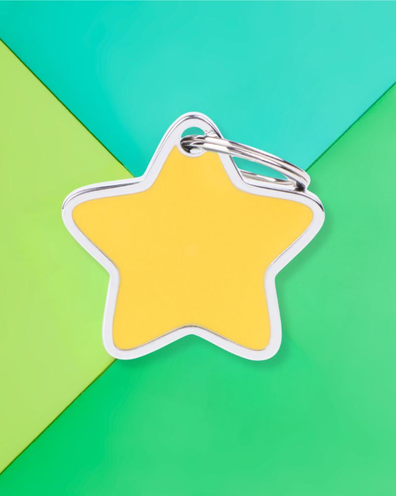 Super Star Custom Pet ID Tag Wear MY FAMILY   