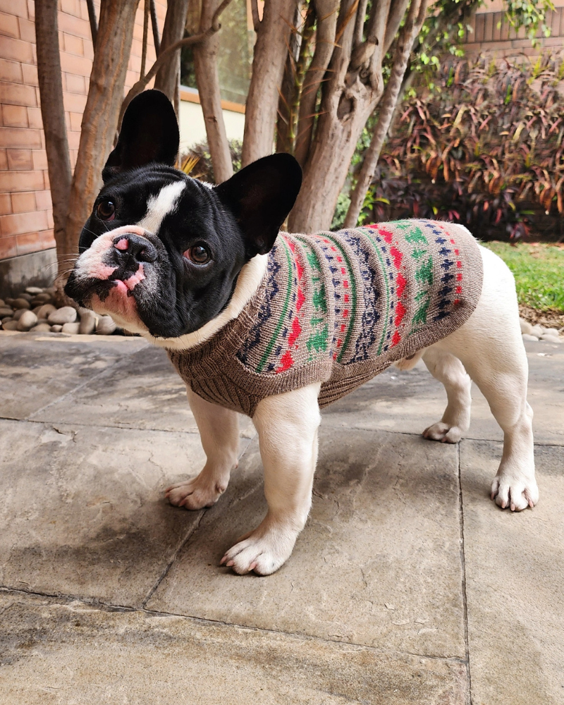 Pine Tree Alpaca Dog Sweater (FINAL SALE) Wear ALQO WASI