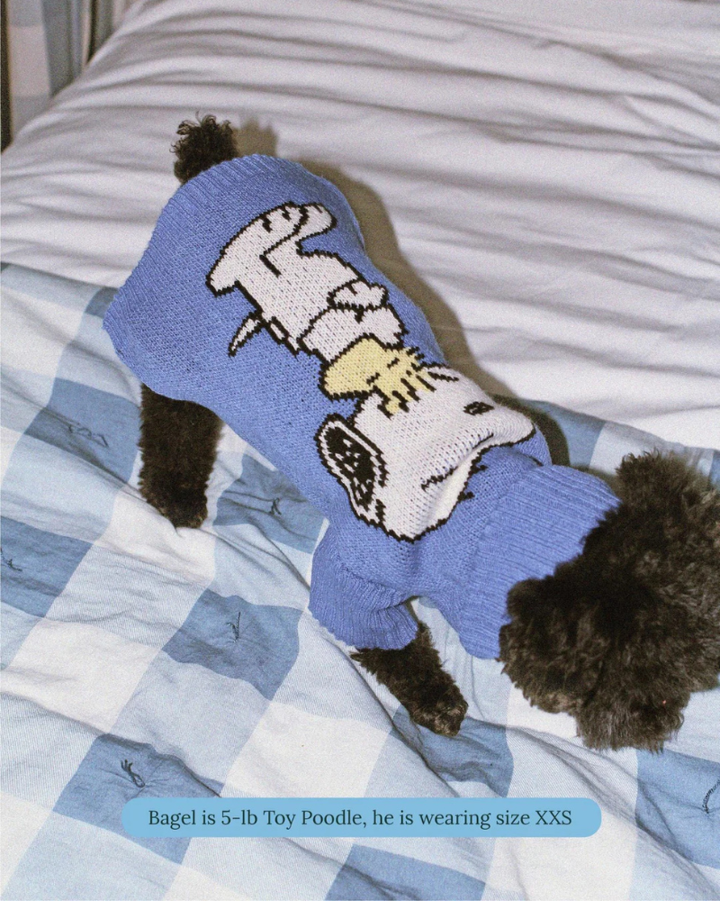 Peanuts Snoopy Dog Sweater in Blue Wear LITTLE BEAST