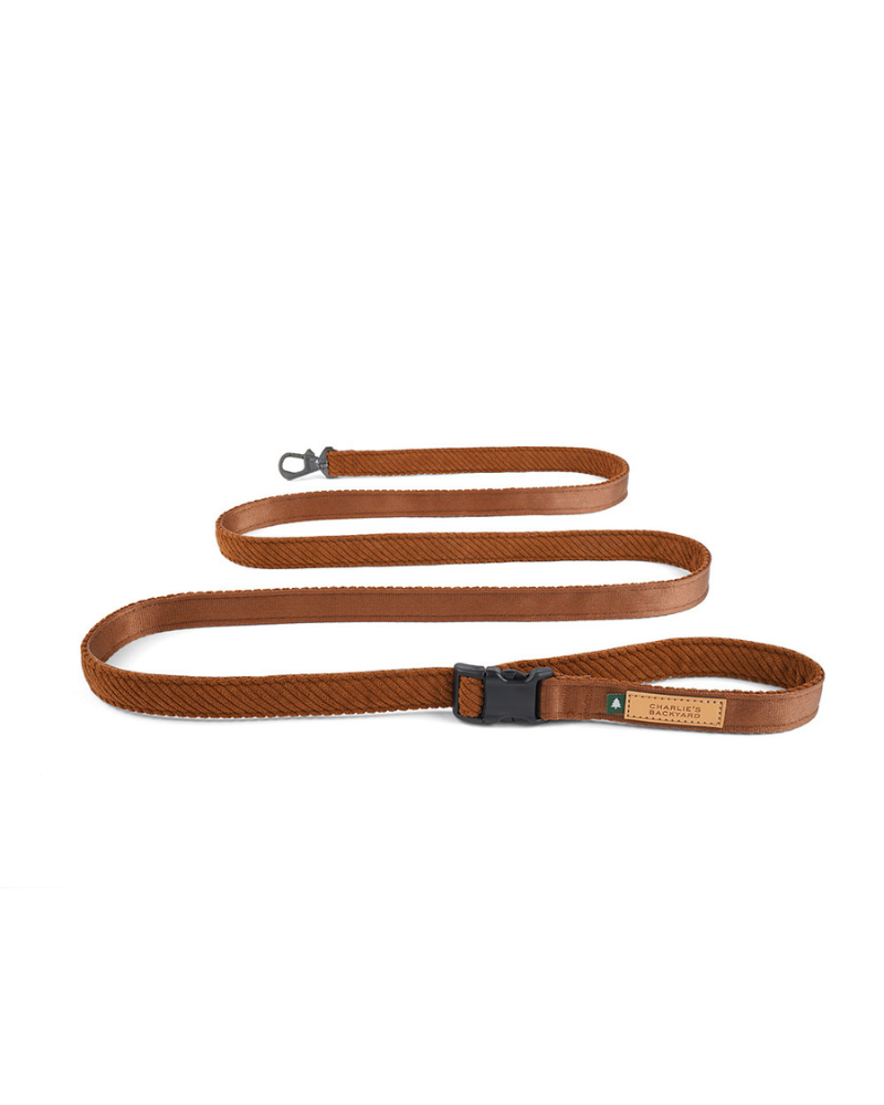 "Roy" Corduroy Adjustable Dog Leash WALK CHARLIE'S BACKYARD