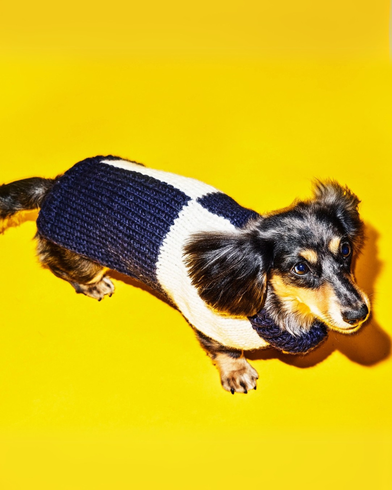 Hand Knit Checkered Wool Dog Sweater (Navy & White) (FINAL SALE) Wear WARE OF THE DOG