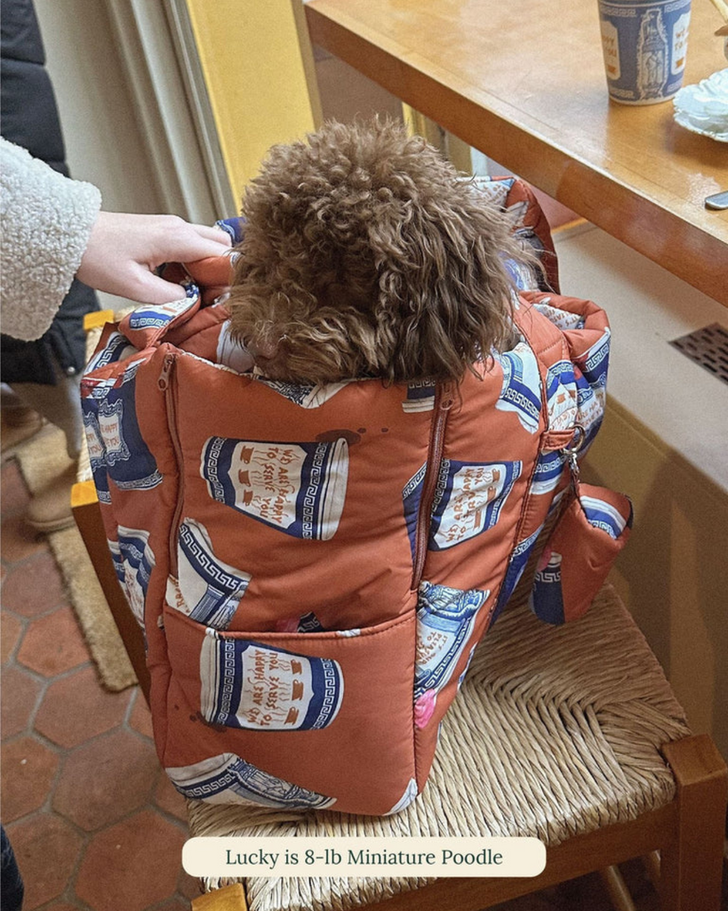 Coffee Cup Dog Carrier (Little Beast x Rachel Antonoff) Carry LITTLE BEAST