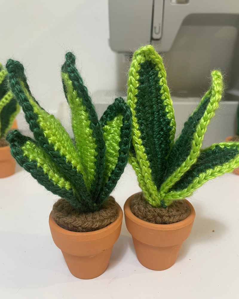 Pet-Safe Crochet Mini Cacti & Succulents (Made in the USA) PLAY ROSEMARY'S BABY MEK Snake Plant