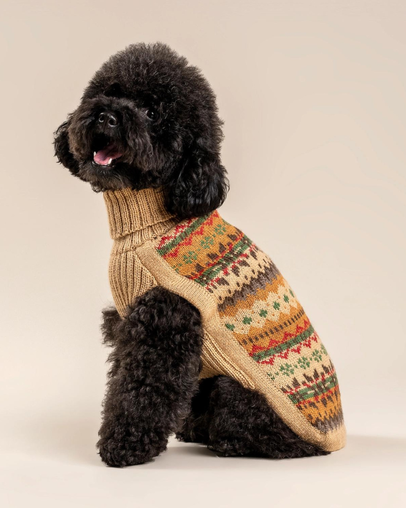 Fair Isle Finn Alpaca Dog Sweater Wear ALQO WASI   