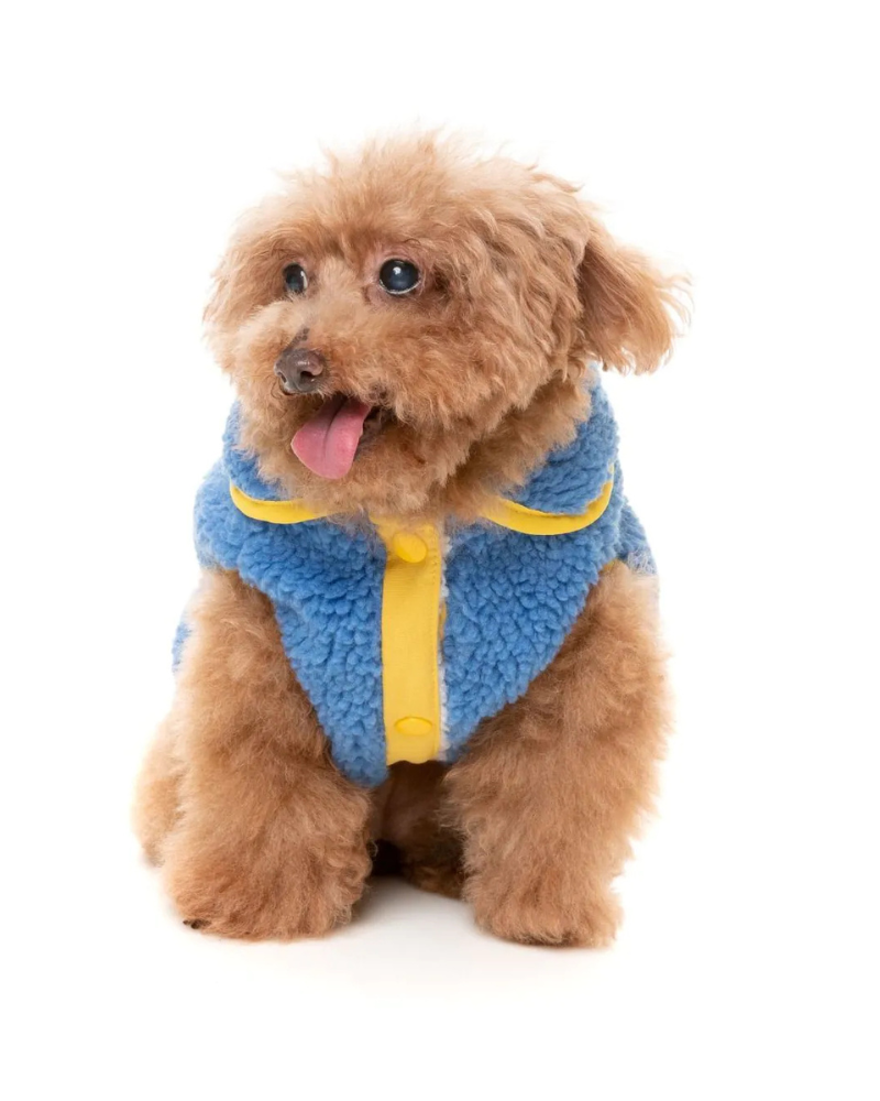 Hana Dog Jacket in Blue Wear FUZZYARD   