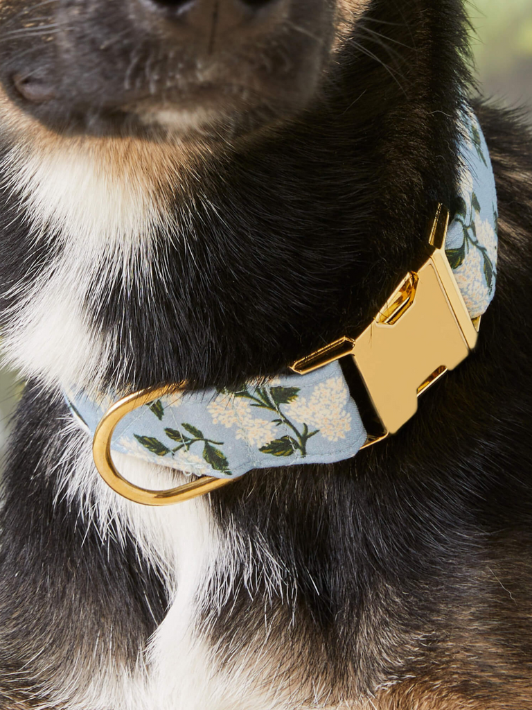 Rifle Paper Co. X TFD Hydrangea Dog Collar (Made in the USA) WALK THE FOGGY DOG