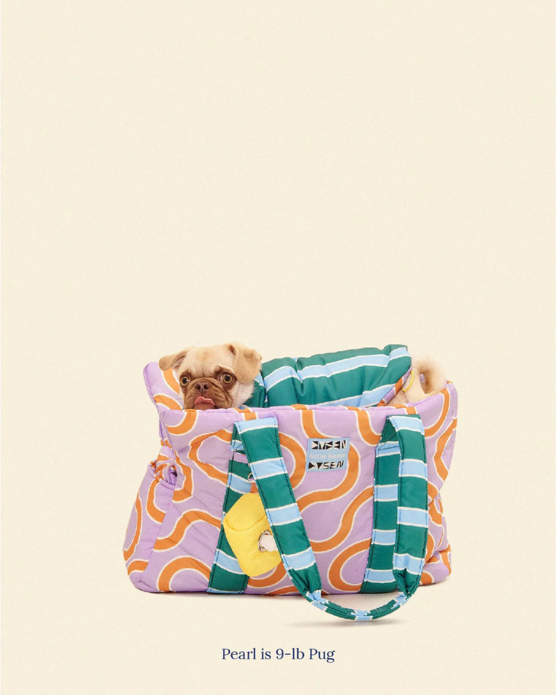 The Piscine Pet Carrier - (Little Beast x Dusen Dusen) Carry LITTLE BEAST