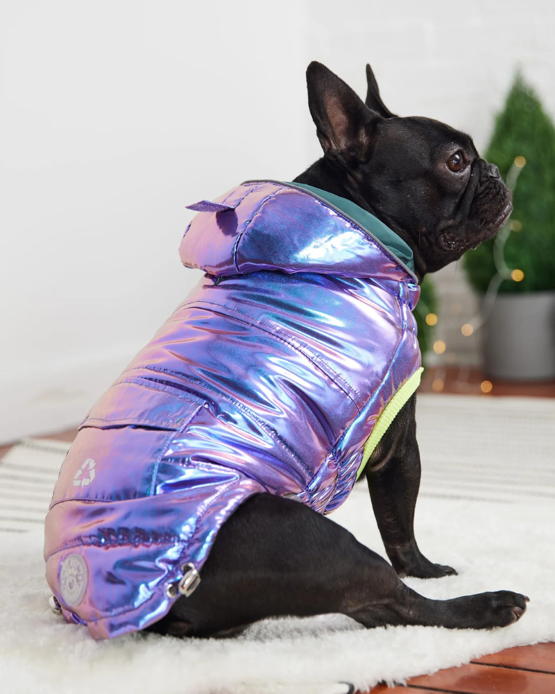 Recycled Arctic Dog Parka in Iridescent Wear GF PET