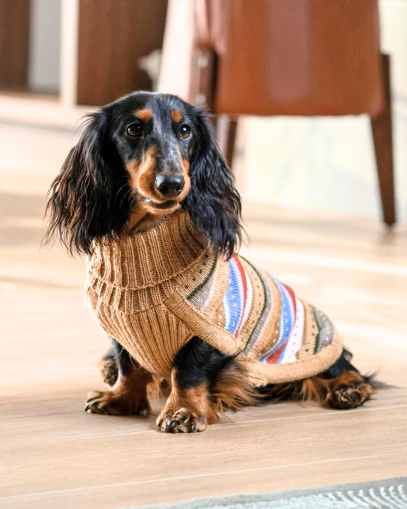 Earthy Stripes Alpaca Dog Sweater Wear ALQO WASI   