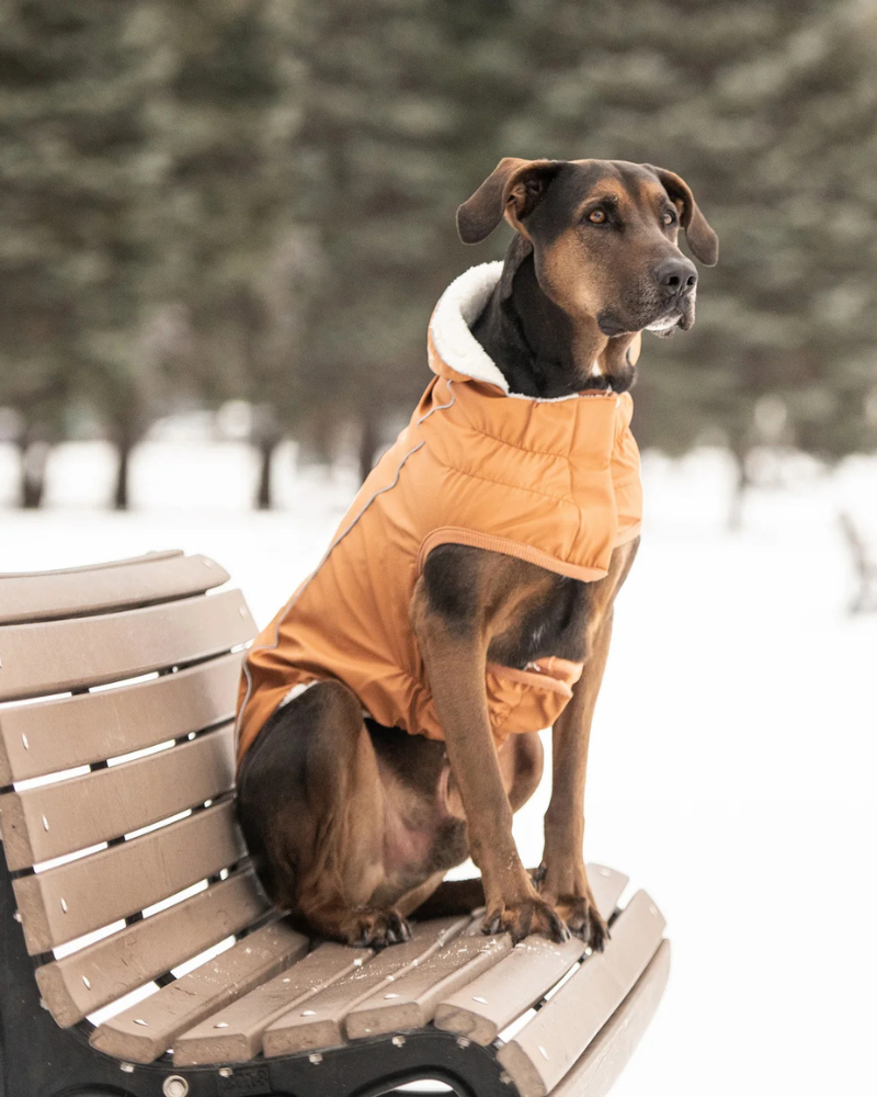 Insulated Raincoat in Hazel (FINAL SALE) Wear GF PET