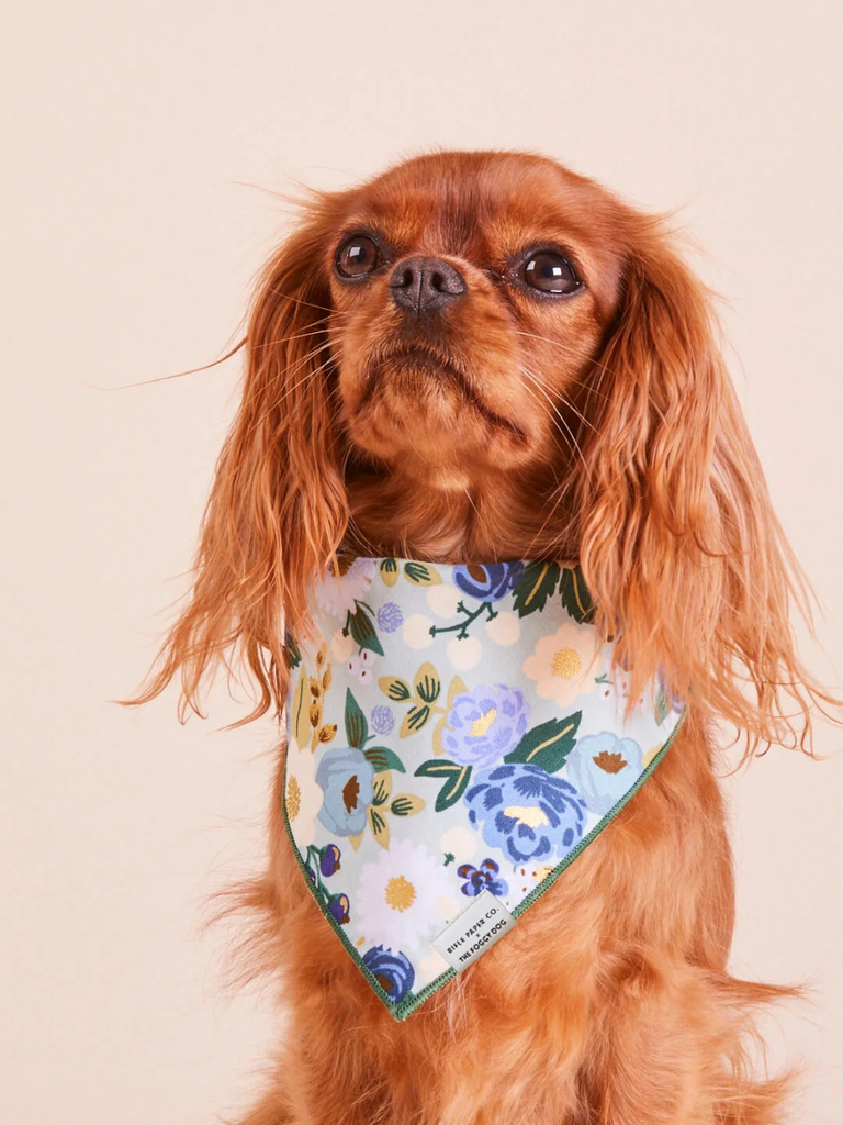 Rifle Paper Co. X TFD Vintage Blossom Dog Bandana (Made in the USA) Wear THE FOGGY DOG