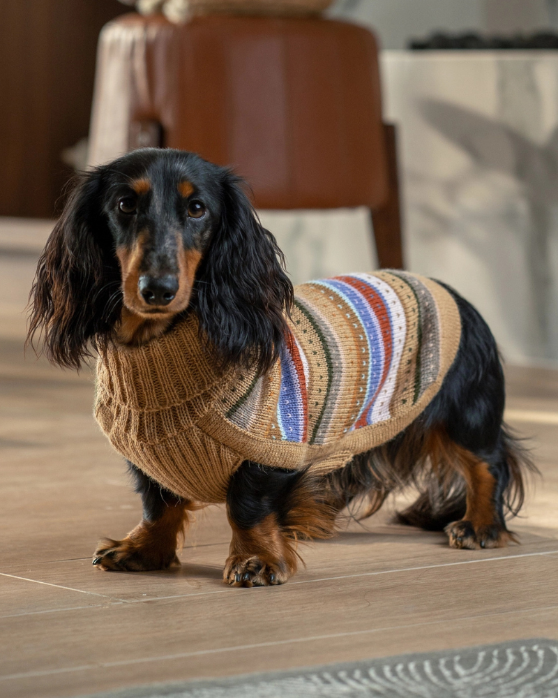 Earthy Stripes Alpaca Dog Sweater Wear ALQO WASI   