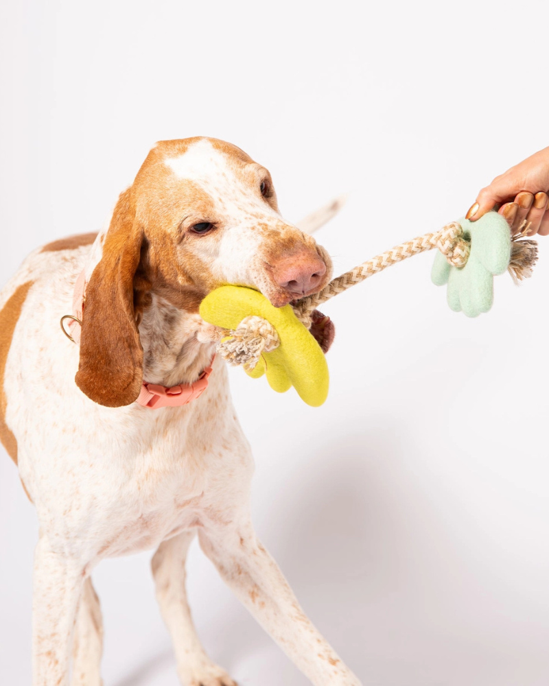 Turtle Doves Felt & Rope Dog Tug Toy PLAY AWOO