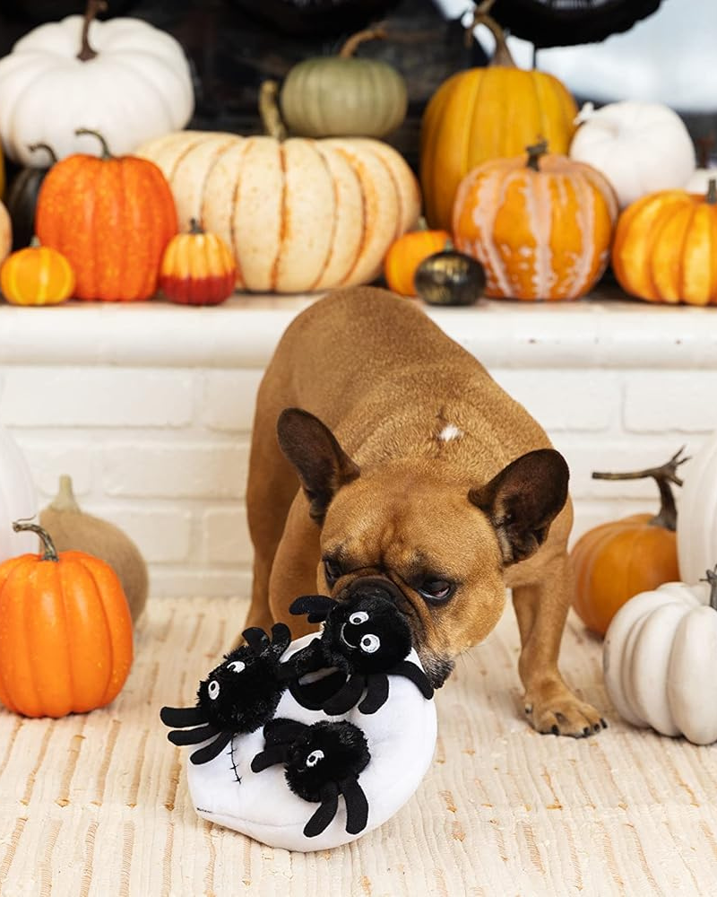 Skull + Spiders Hide-and-Seek Plush Dog Toy Play FRINGE STUDIO   