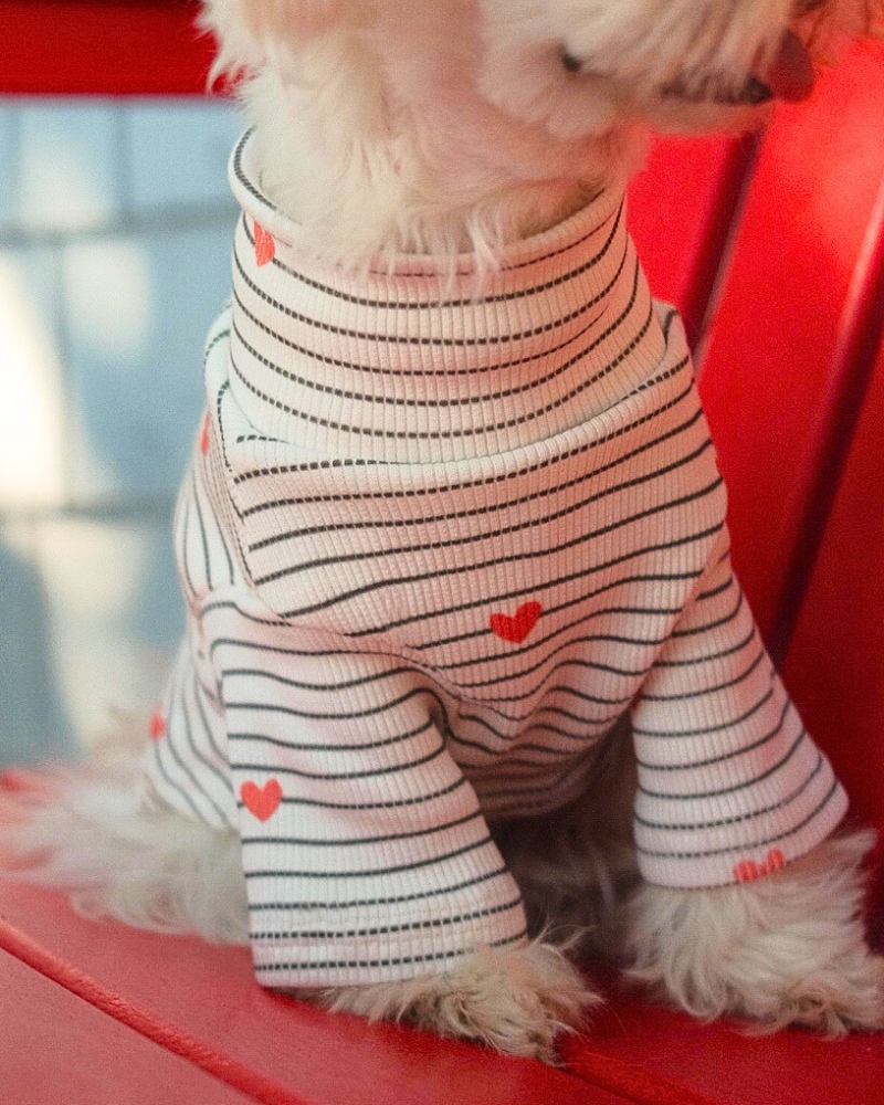 Aveline Striped Heart Dog Pullover Wear LIL.CO   