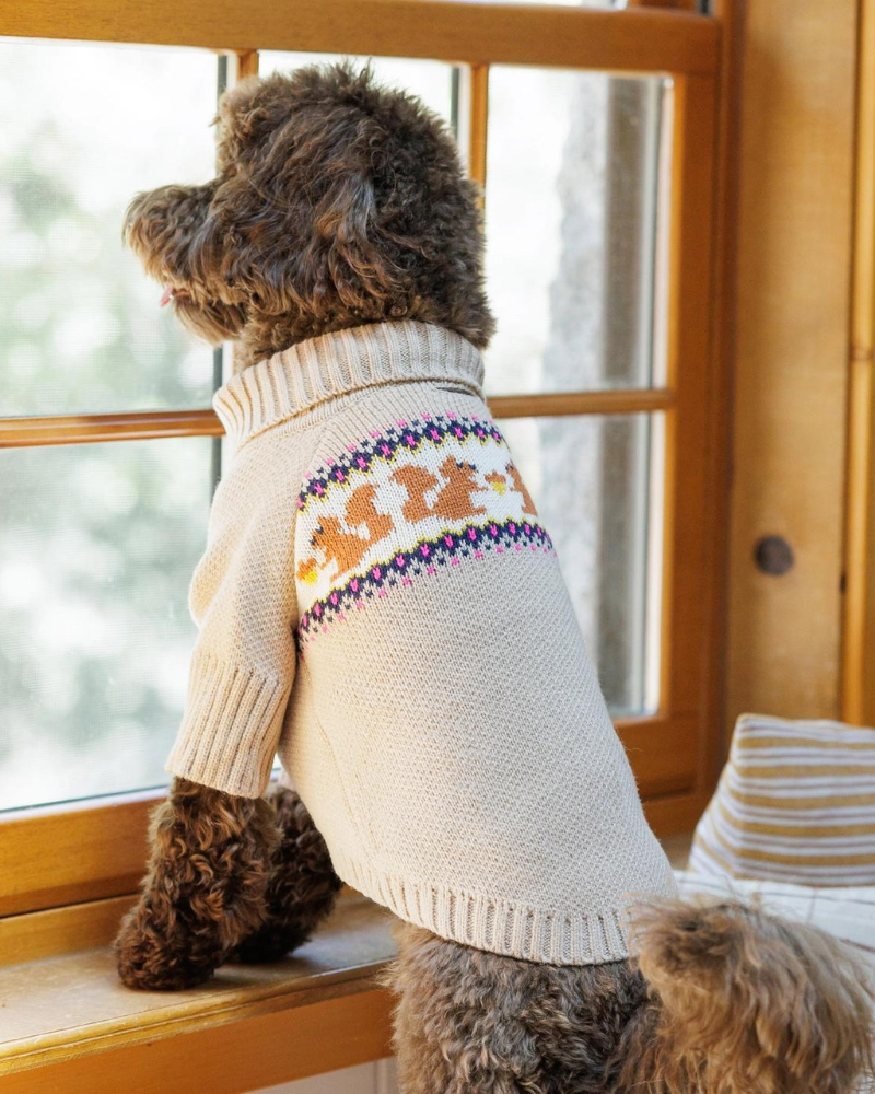 Squirrel Cable Knit Dog Sweater Wear THE FOGGY DOG   