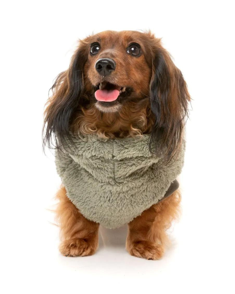 Turtle Teddy Dog Fleece in Rosemary (FINAL SALE) Wear FUZZYARD