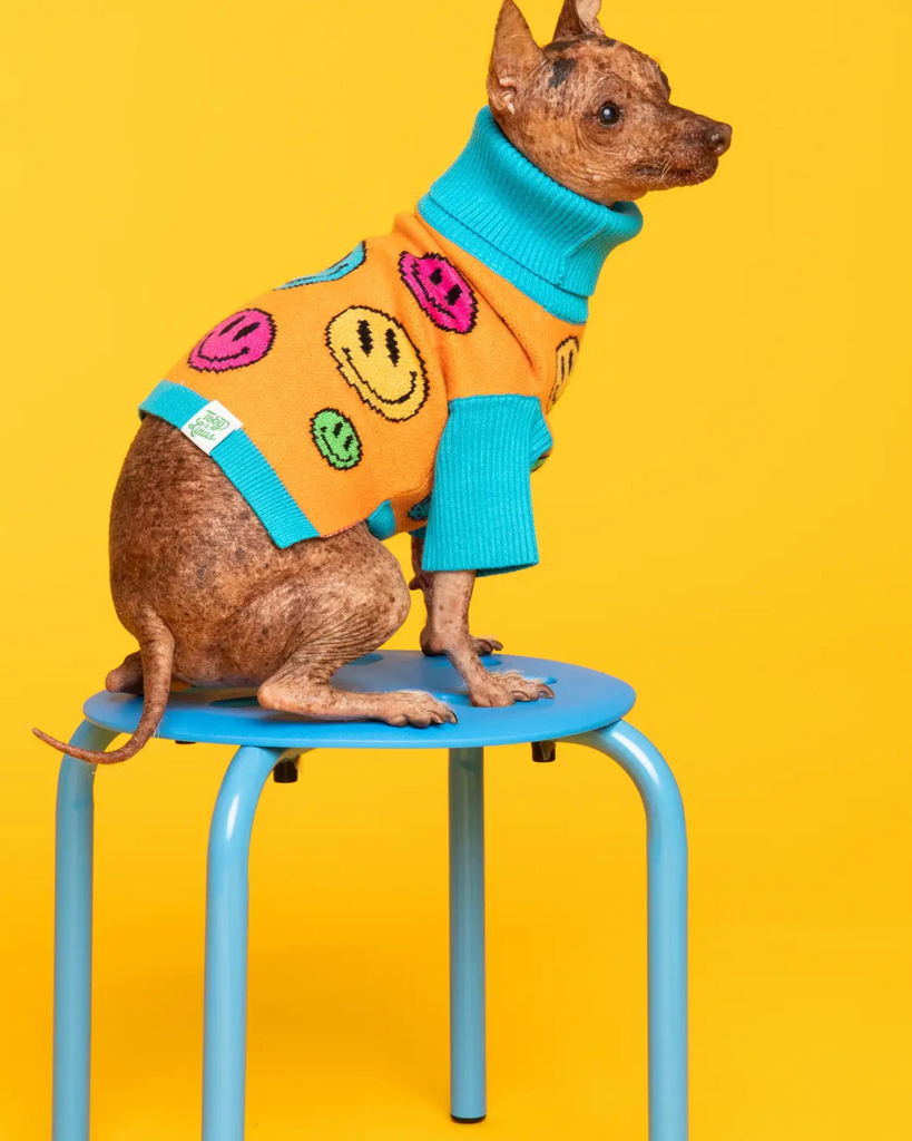 How Are You Feeling? Dog Sweater Wear TOBY & LINUS