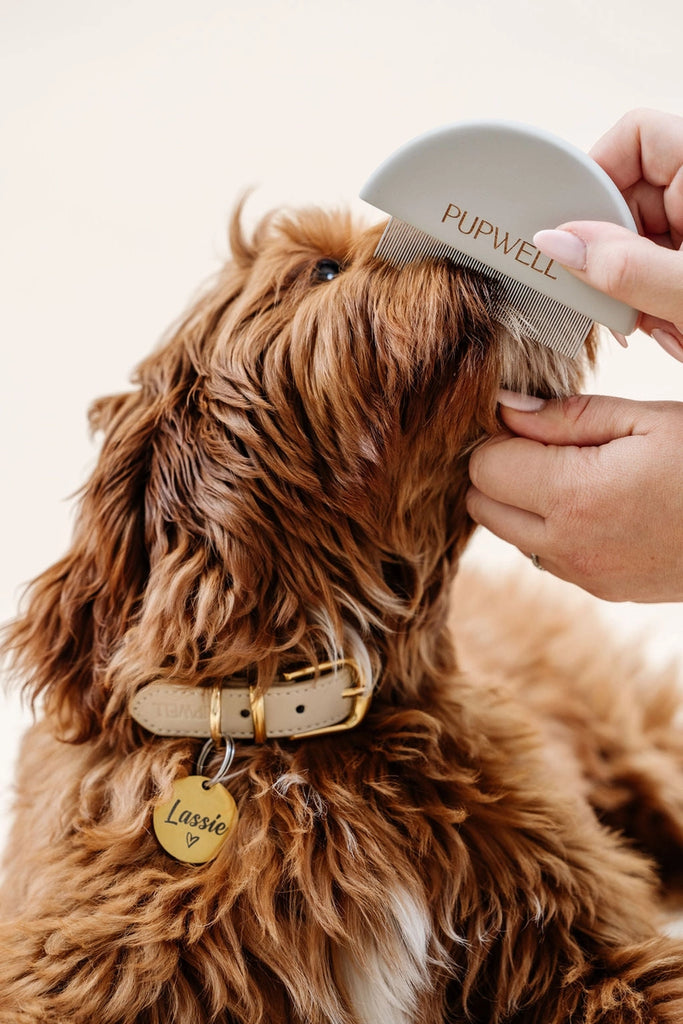 Detailer Comb for Dogs Clean PUPWELL   