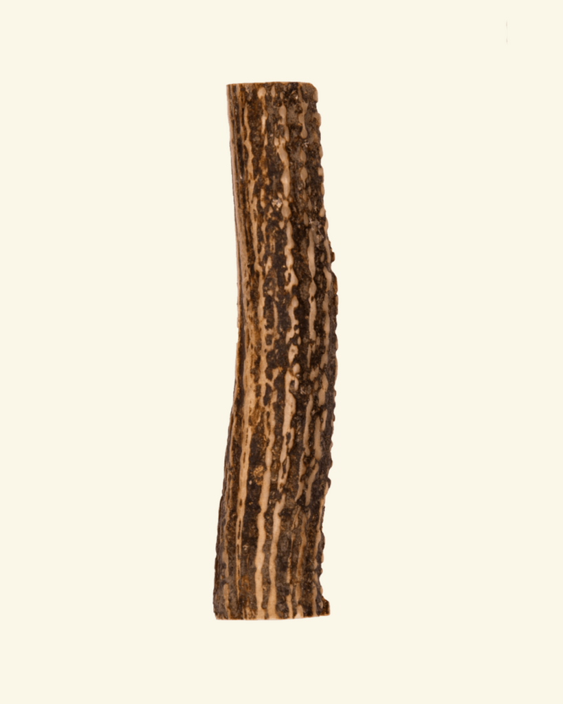 Split Elk Antler Dog Single Chew Eat PUPFORD   