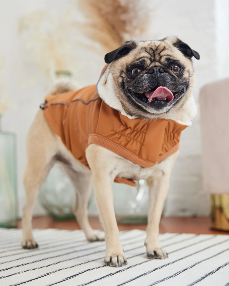 Insulated Raincoat in Hazel (FINAL SALE) Wear GF PET